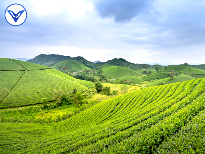 Tóm tắt án lệ số 02/2016/AL về 