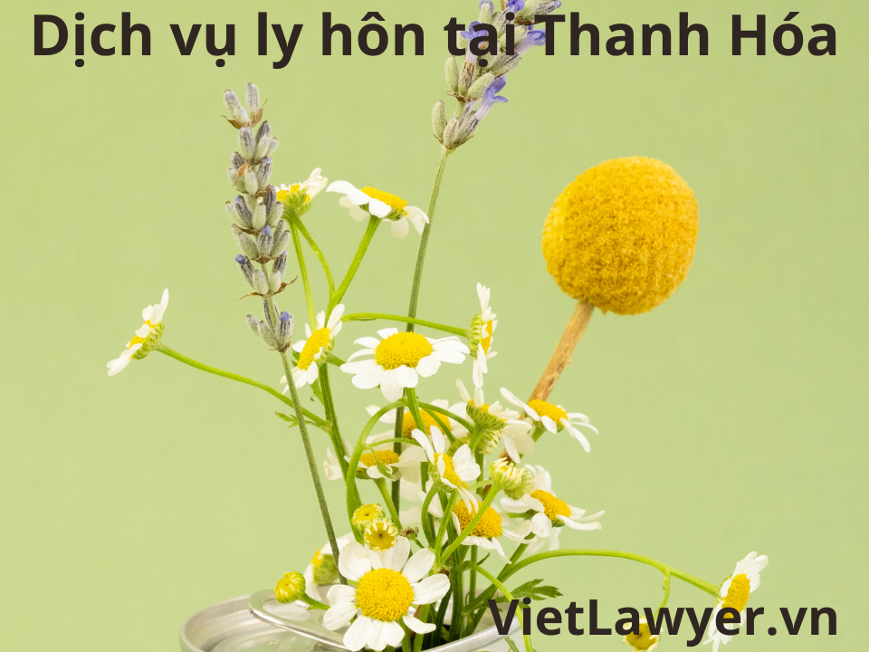 Dịch Vụ Ly Hôn Tại Thanh Hóa | Nhanh | Giá Tốt | Bảo Mật