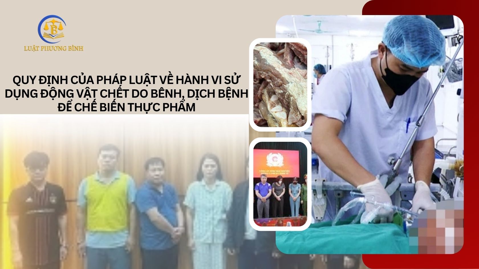 Quy định của pháp luật về hành vi sử dụng động vật chết do bệnh, dịch bệnh để chế biến thực phẩm? (Bùi Văn Chí)