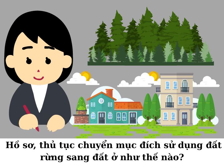 Điều kiện chuyển mục đích sử dụng đất rừng sản xuất sang đất ở