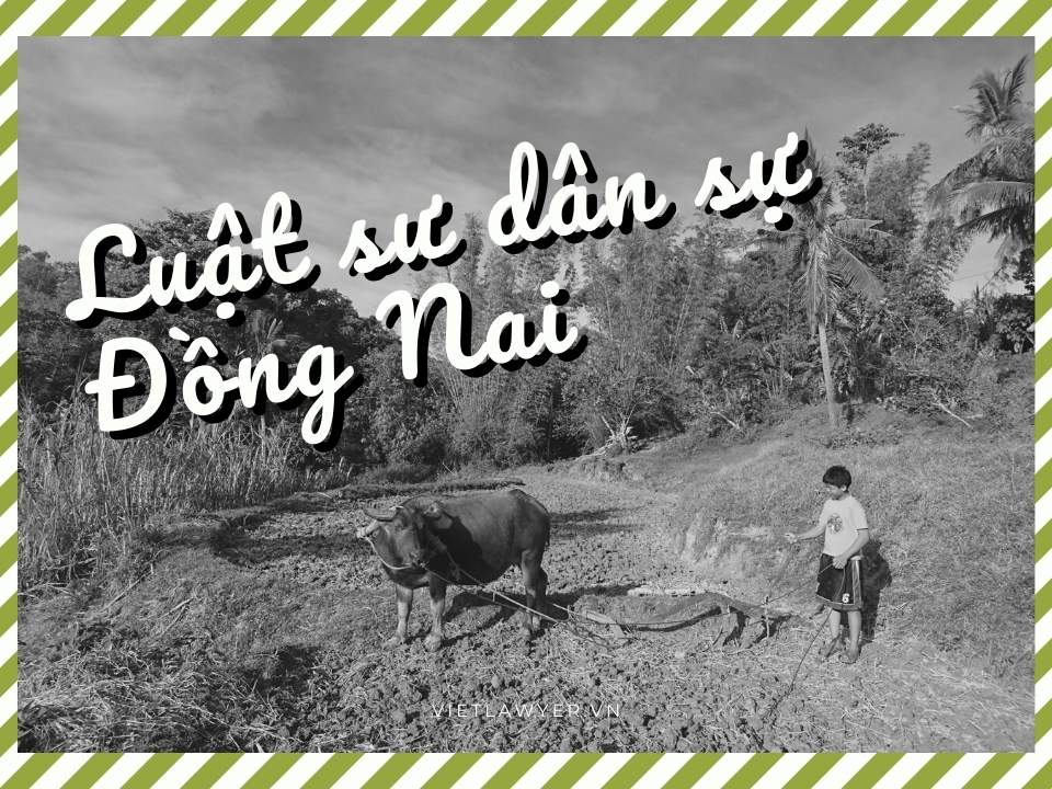 Luật sư Dân Sự Đồng Nai | Luật Sư Của Bạn | Vietlawyer.vn