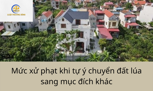 Tự ý chuyển đất trồng lúa sang mục đích khác sẽ bị xử lý như nào?