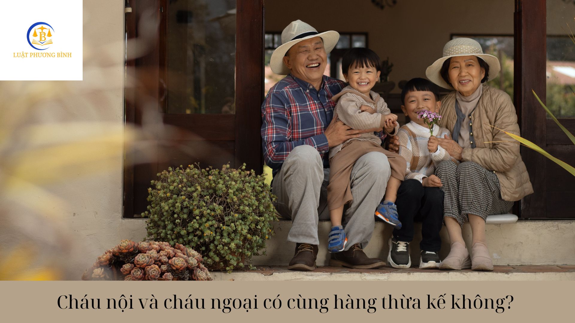 Cháu nội và cháu ngoại có cùng hàng thừa kế không?