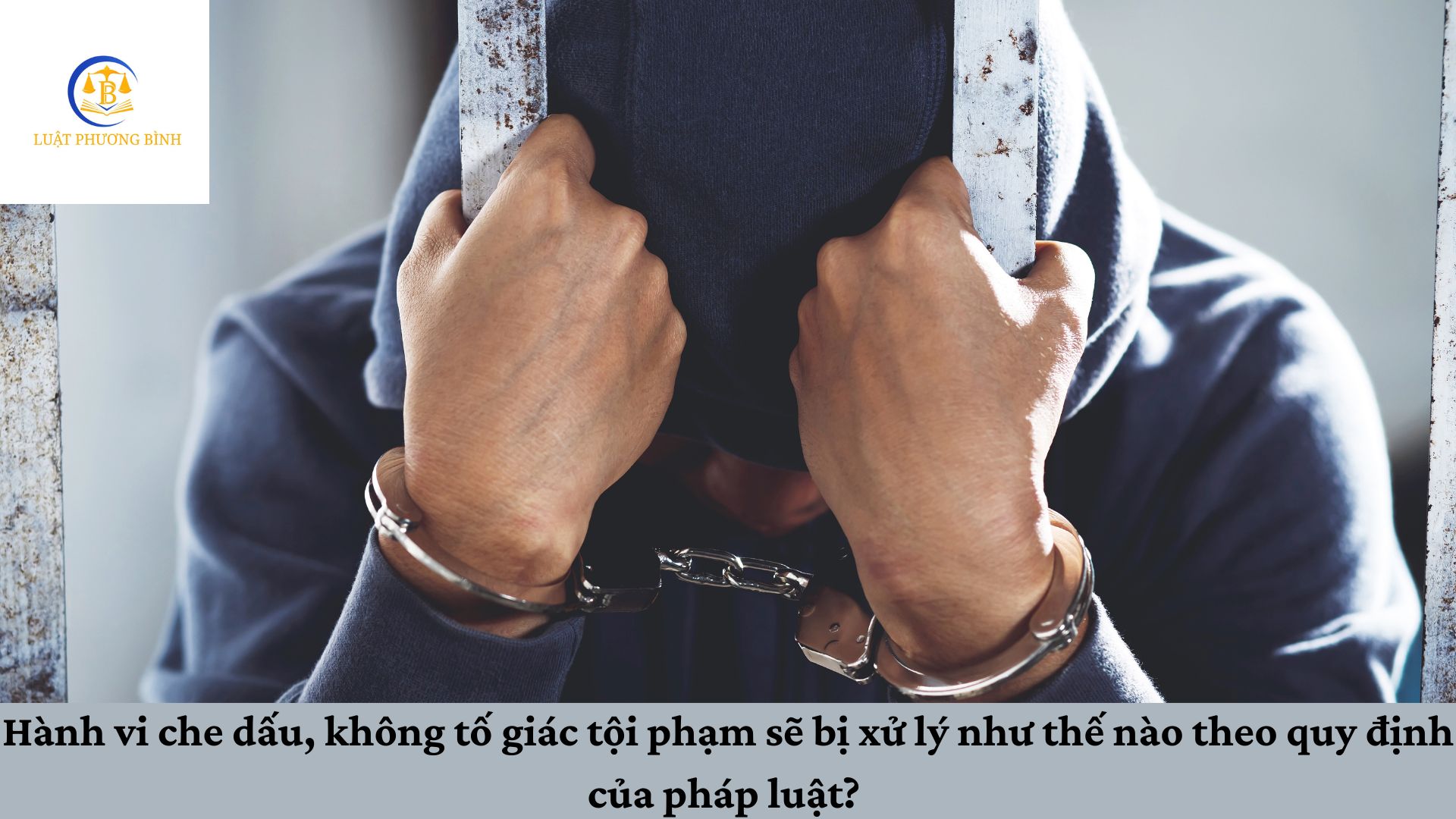 Hành vi che dấu, không tố giác tội phạm giết người sẽ bị xử lý như thế nào theo quy định của pháp luật?