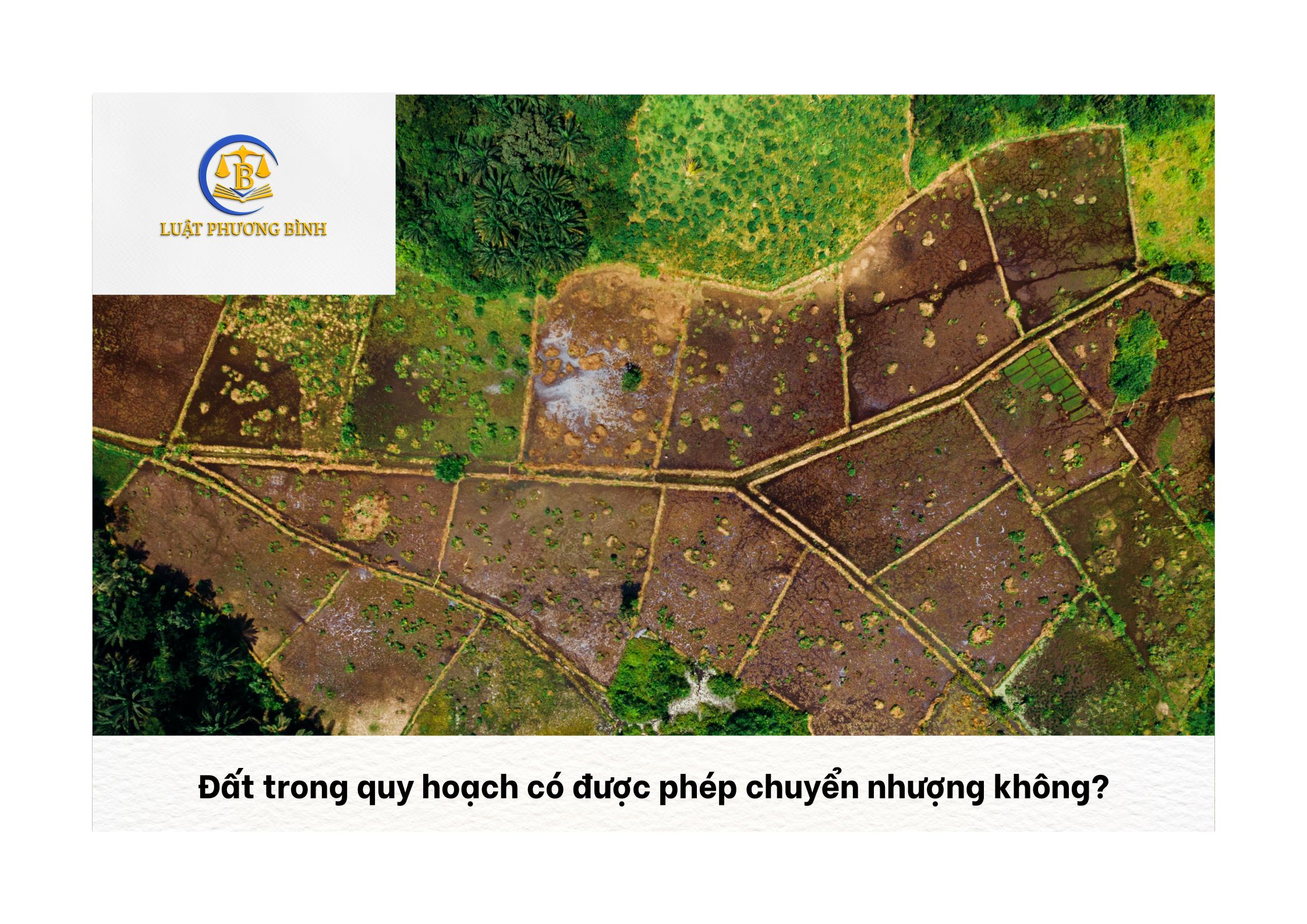 Đất trong quy hoạch có được phép chuyển nhượng không?