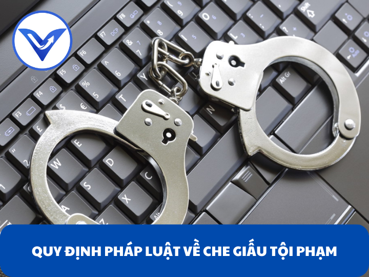 Quy định pháp luật về che giấu tội phạm