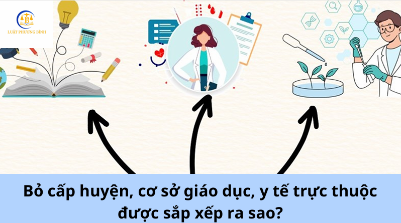 Bỏ cấp huyện, cơ sở giáo dục, y tế trực thuộc được sắp xếp ra sao?