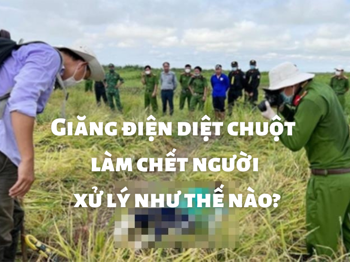 Giăng điện diệt chuột làm chết người xử lý như thế nào? Luật sư tư vấn | VietLawyer