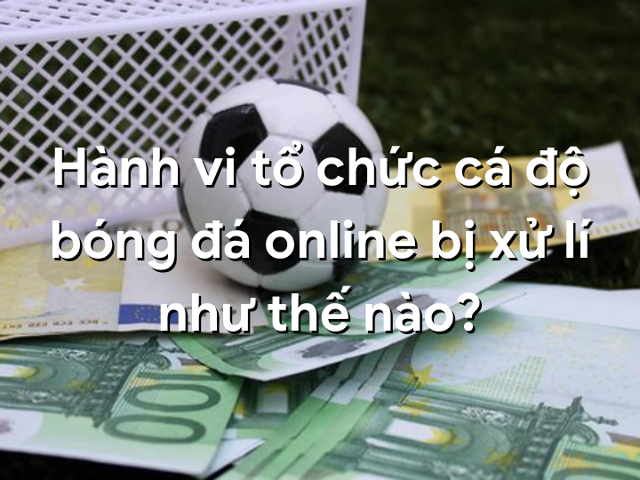 Hành vi tổ chức cá độ bóng đá online bị xử lí như thế nào?