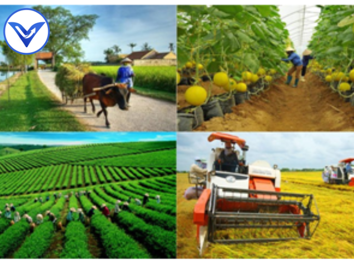 Bài 2: Thiên nhiên nhiệt đới ẩm gió mùa và ảnh hưởng đến sản xuất, đời sống - Địa lý 12 Bộ sách Cánh diều
