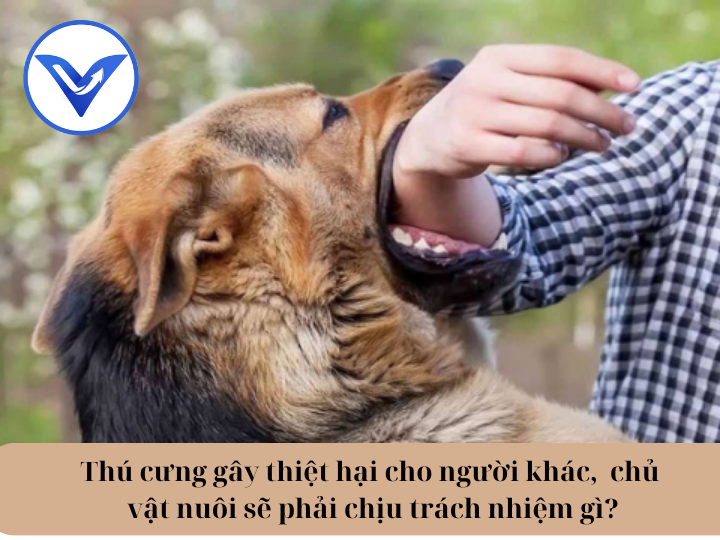 Thú cưng gây thiệt hại cho người khác,  chủ vật nuôi sẽ phải chịu trách nhiệm gì?