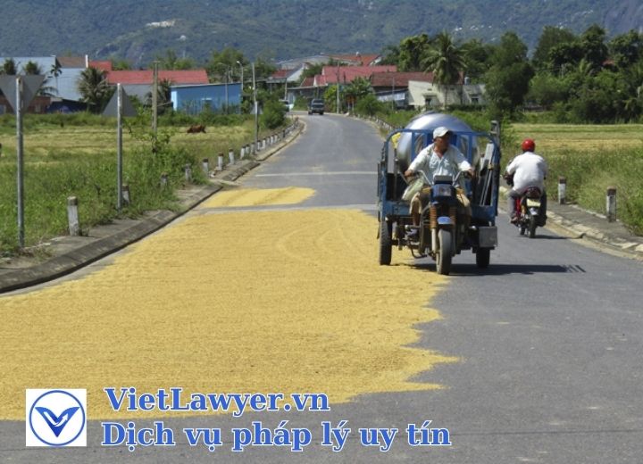 Phơi thóc lúa ngoài đường gây cản trở giao thông dẫn đến tai nạn xử phạt như thế nào?