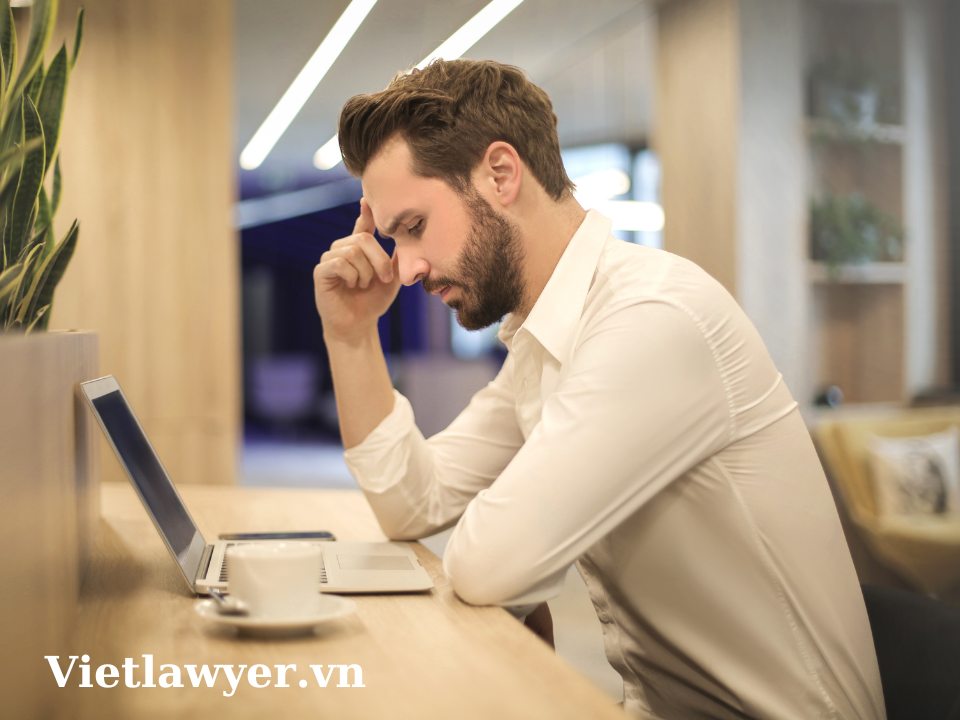 Đặc Điểm Của Doanh Nghiệp Tư Nhân - Luật Sư Của Bạn - Vietlawyer.vn