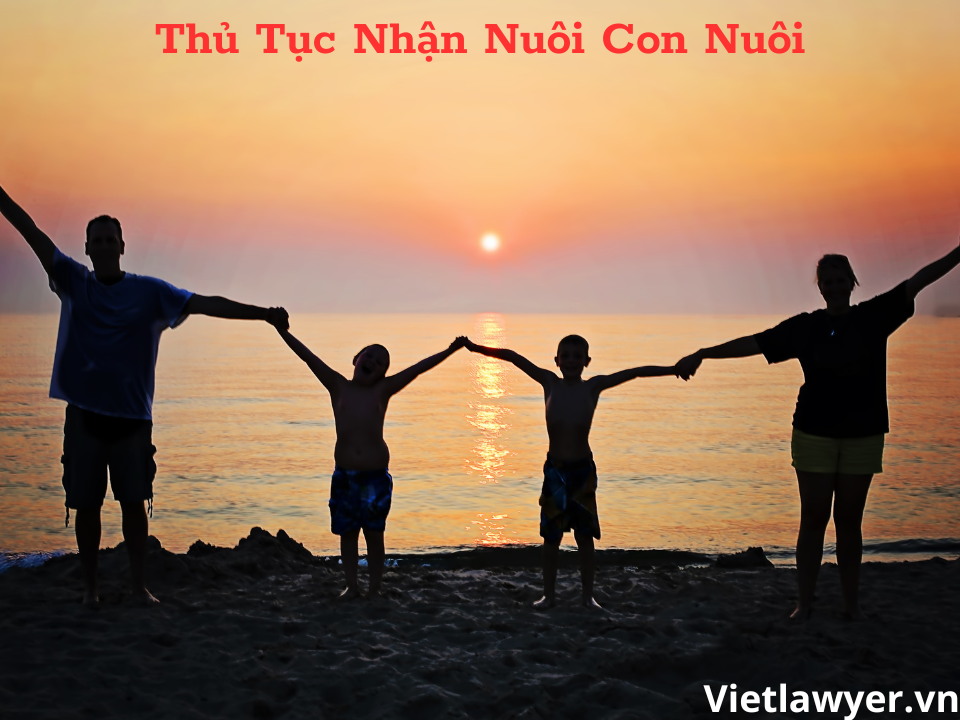 Thủ Tục Nhận Nuôi Con Nuôi | Luật Sư Của Bạn | VietLawyer.vn