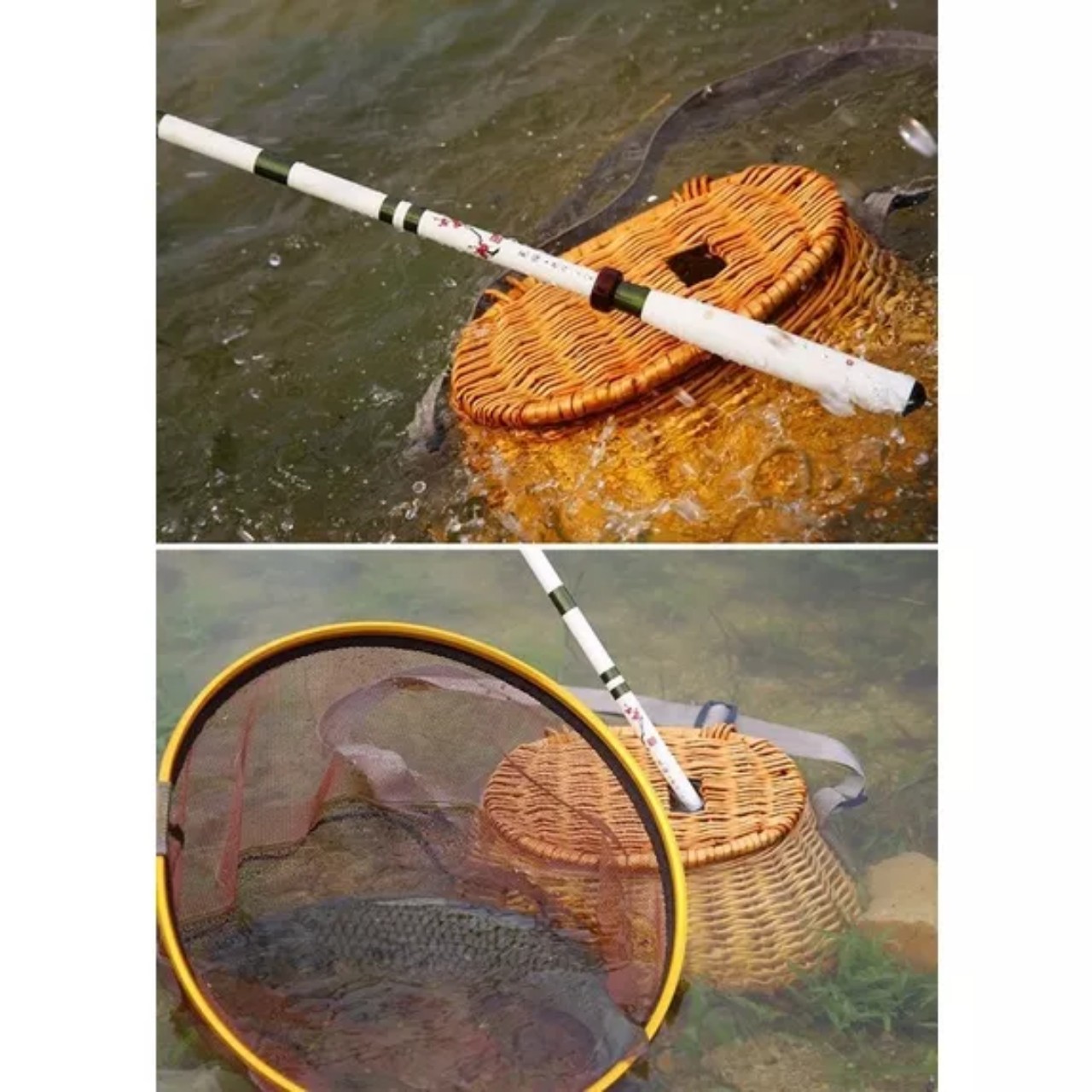 Cần Câu Tay Hoa Mực Mai 3H