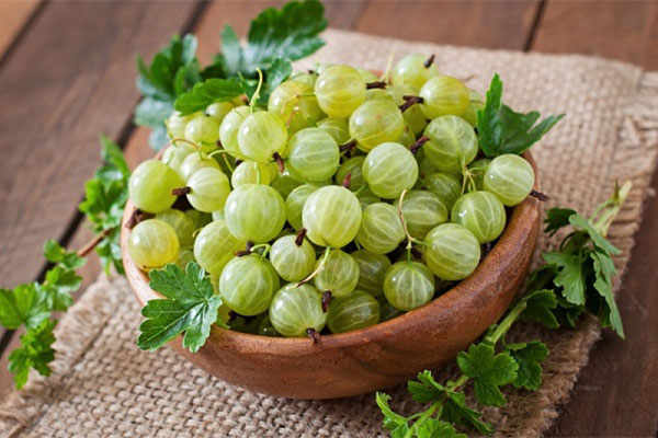 AMLA – Siêu thảo dược từ xứ BOLLYWOOD