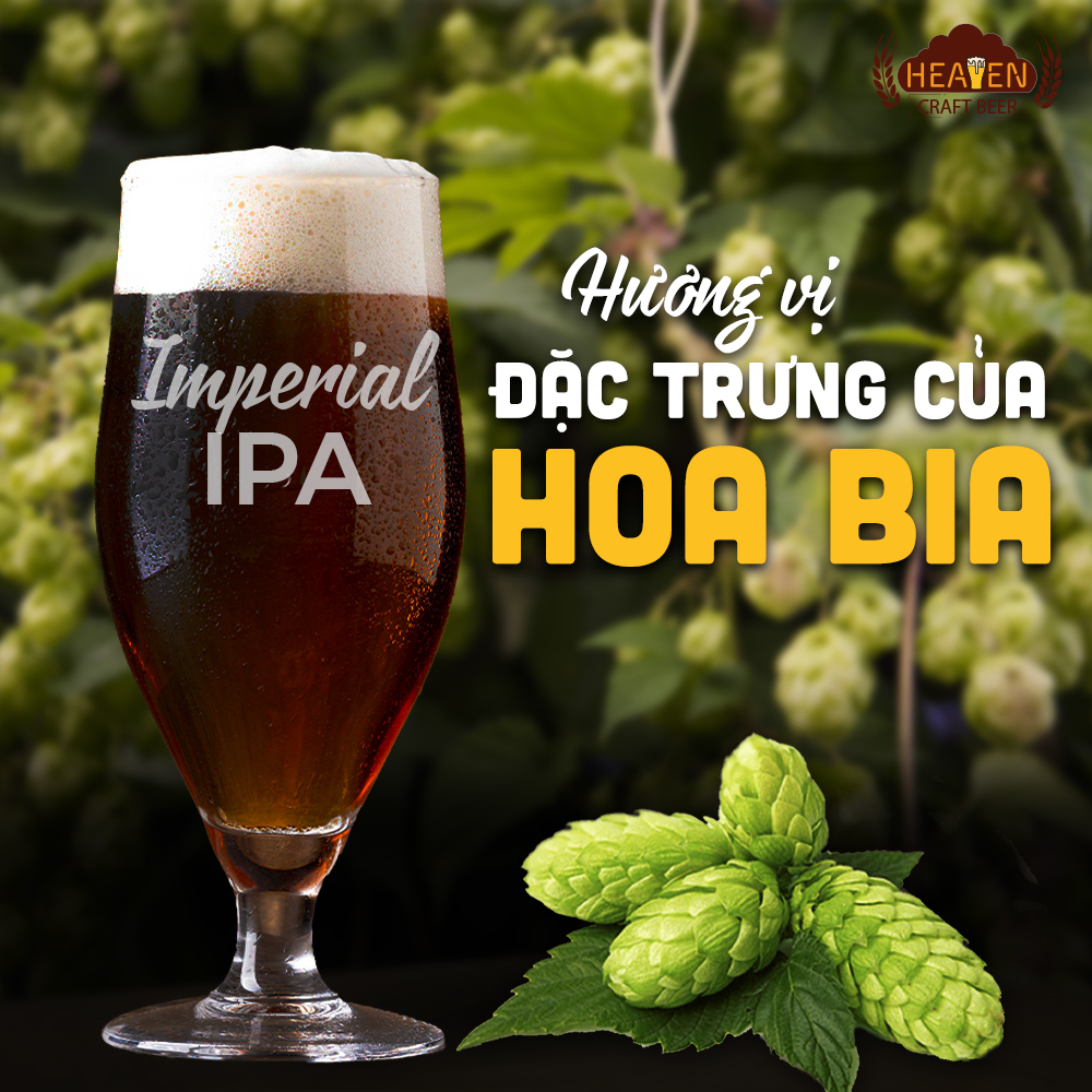 Hương vị đặc trưng của hoa bia
