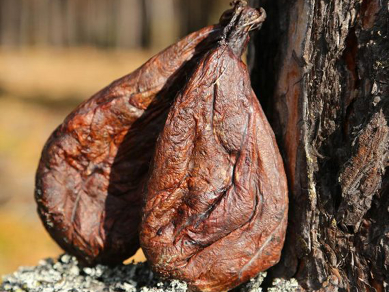 Бобровая струя - где купить качественный продукт ?