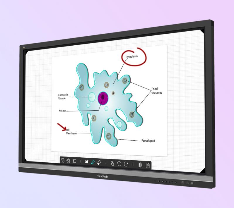 Nên chọn màn hình tương tác Samsung hay ViewSonic