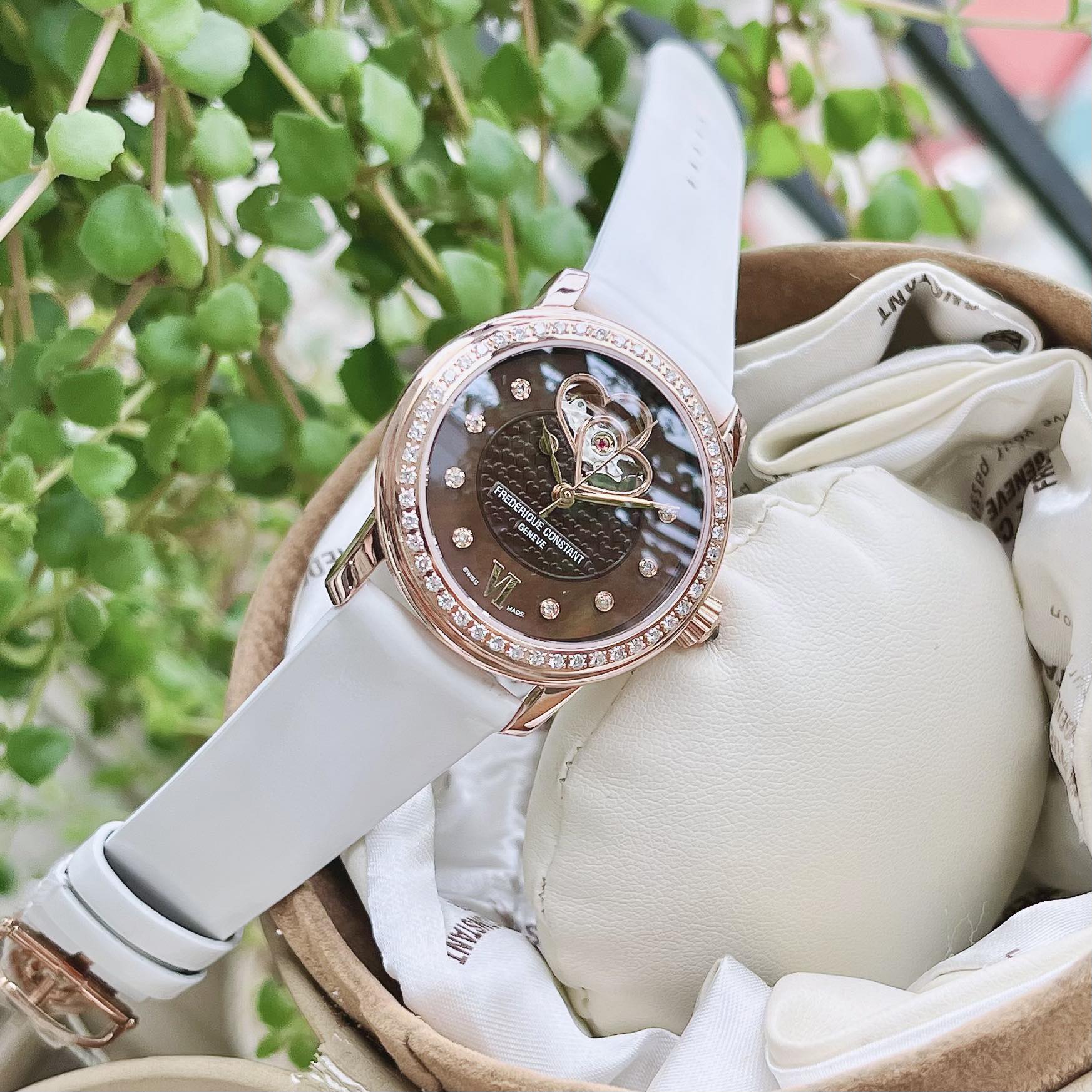 Frederique Constant 310CDHB2PD4 Size 34 - thêm dây trắng