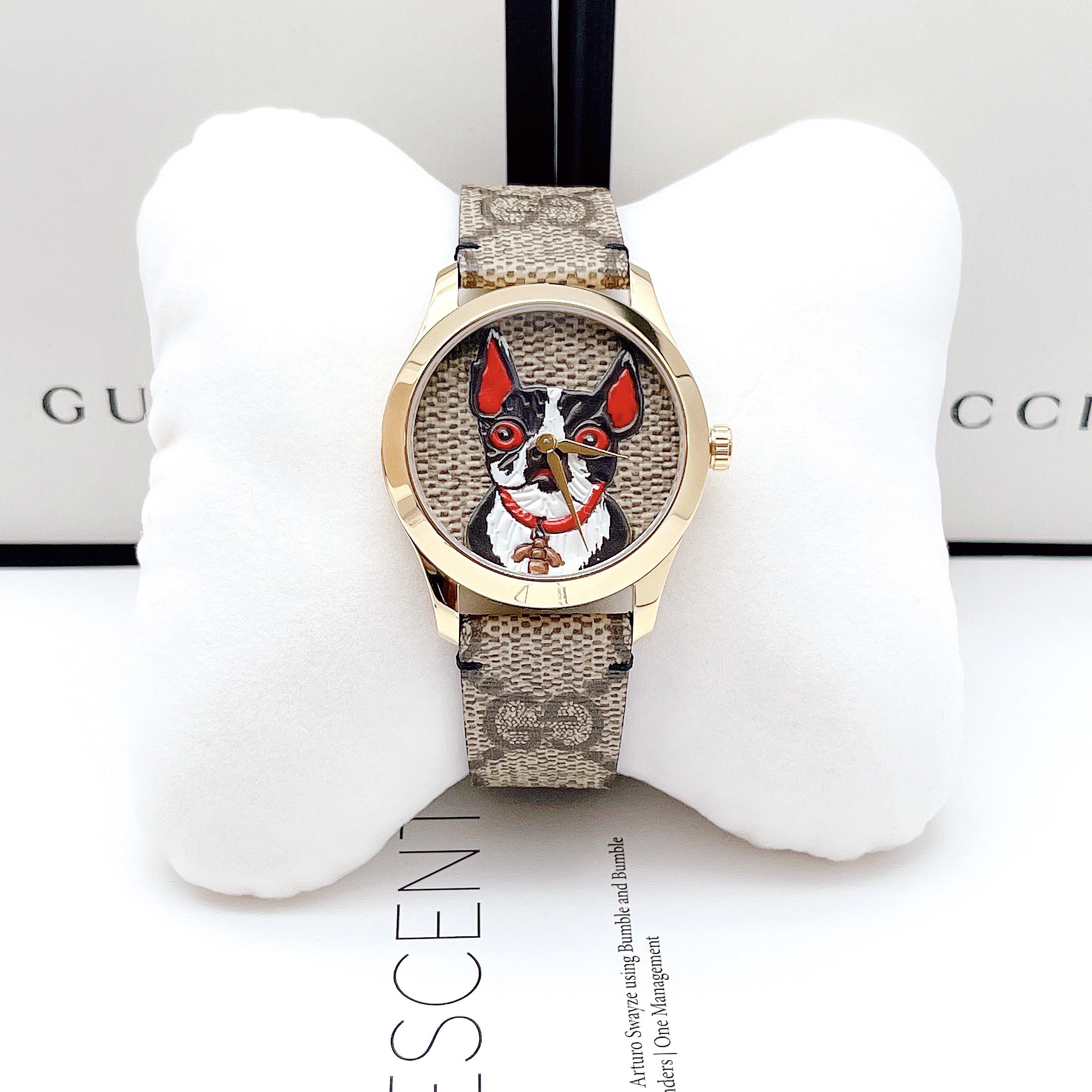 Gucci G-Timless (chó Bull)