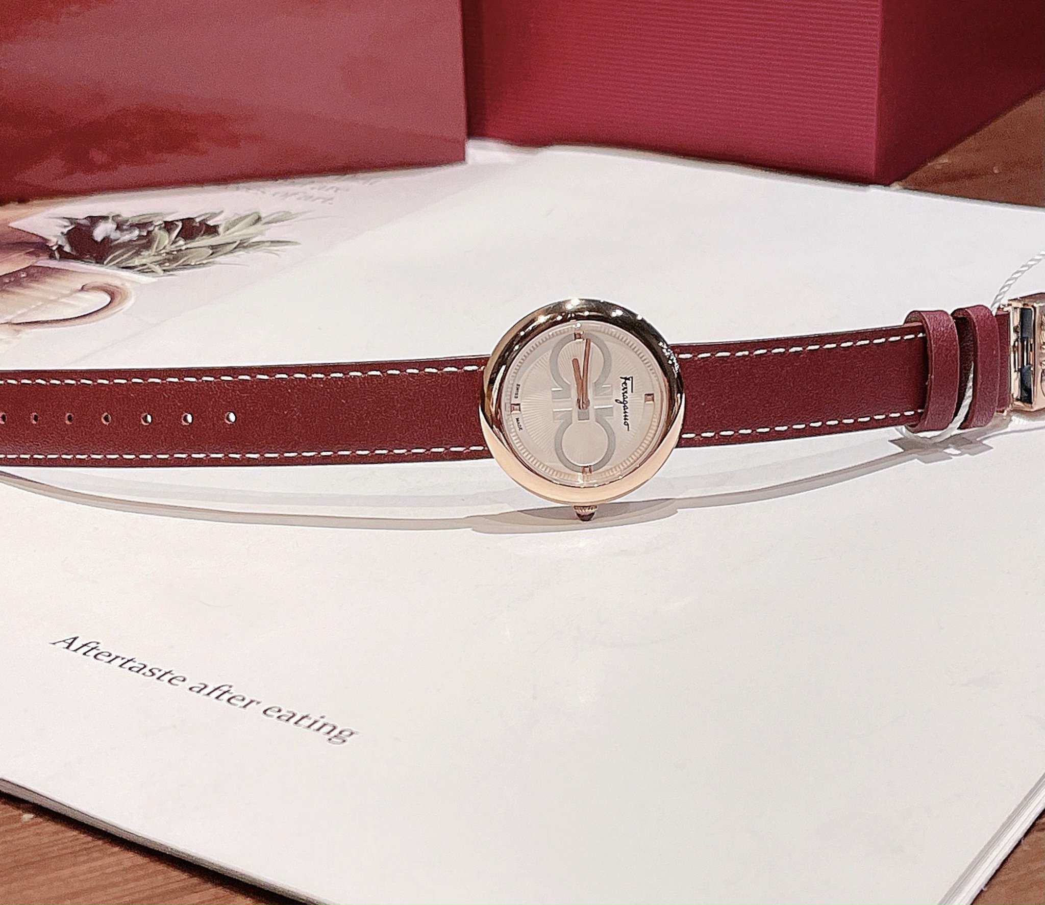 Salvatore Ferragamo Chic ( da đỏ )