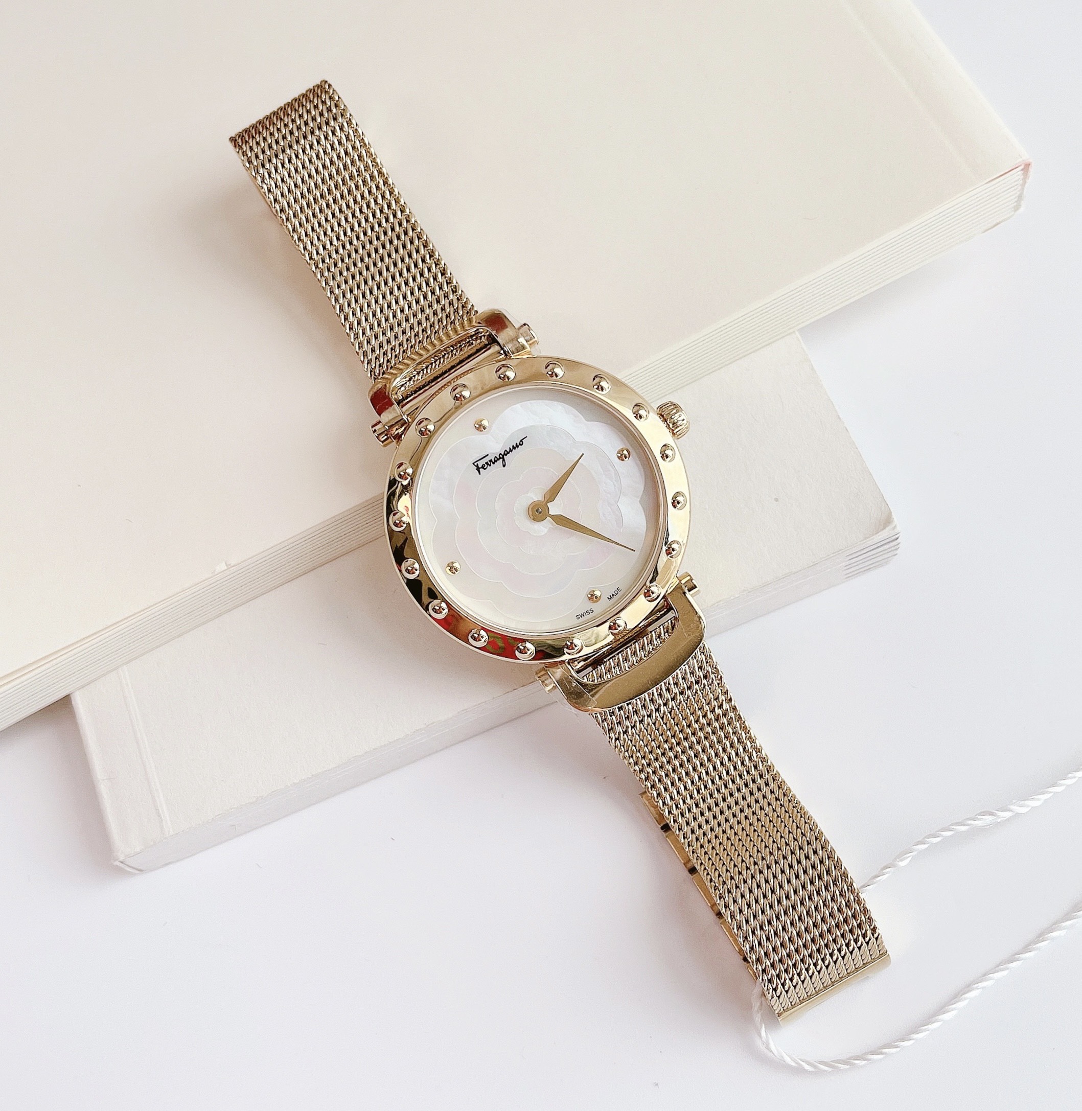 Salvatore Ferragamo Style lady