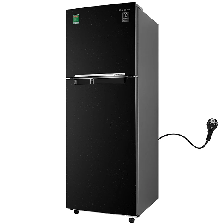 TỦ LẠNH SAMSUNG INVERTER 236 Lít RT22M4032BU