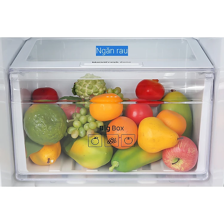 TỦ LẠNH SAMSUNG INVERTER 236 Lít RT22M4032BU