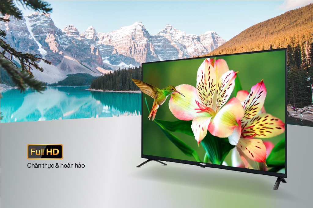 TV RINDO