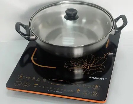 BẾP TỪ SANAKY