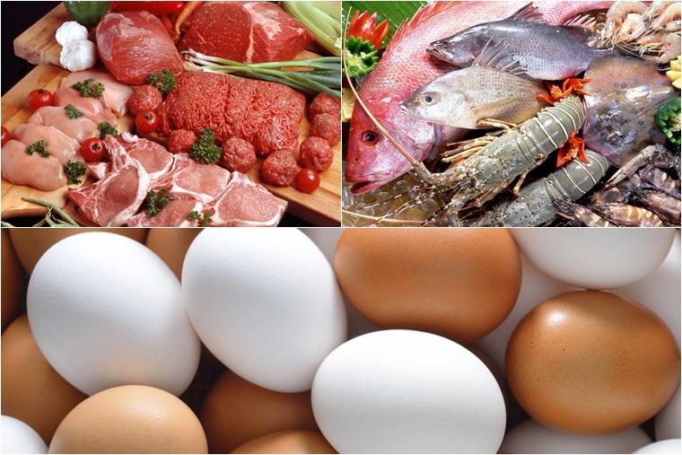 Thịt, trứng, thuỷ hải sản