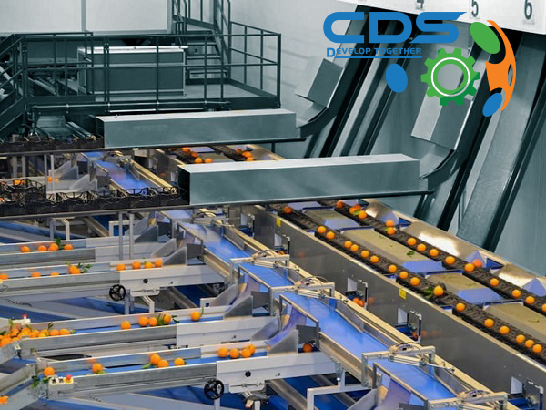 Tăng Năng Suất và Hiệu Quả Sản Xuất Với Dây Chuyền Cấp Liệu - Ưu Điểm Đặc Sắc