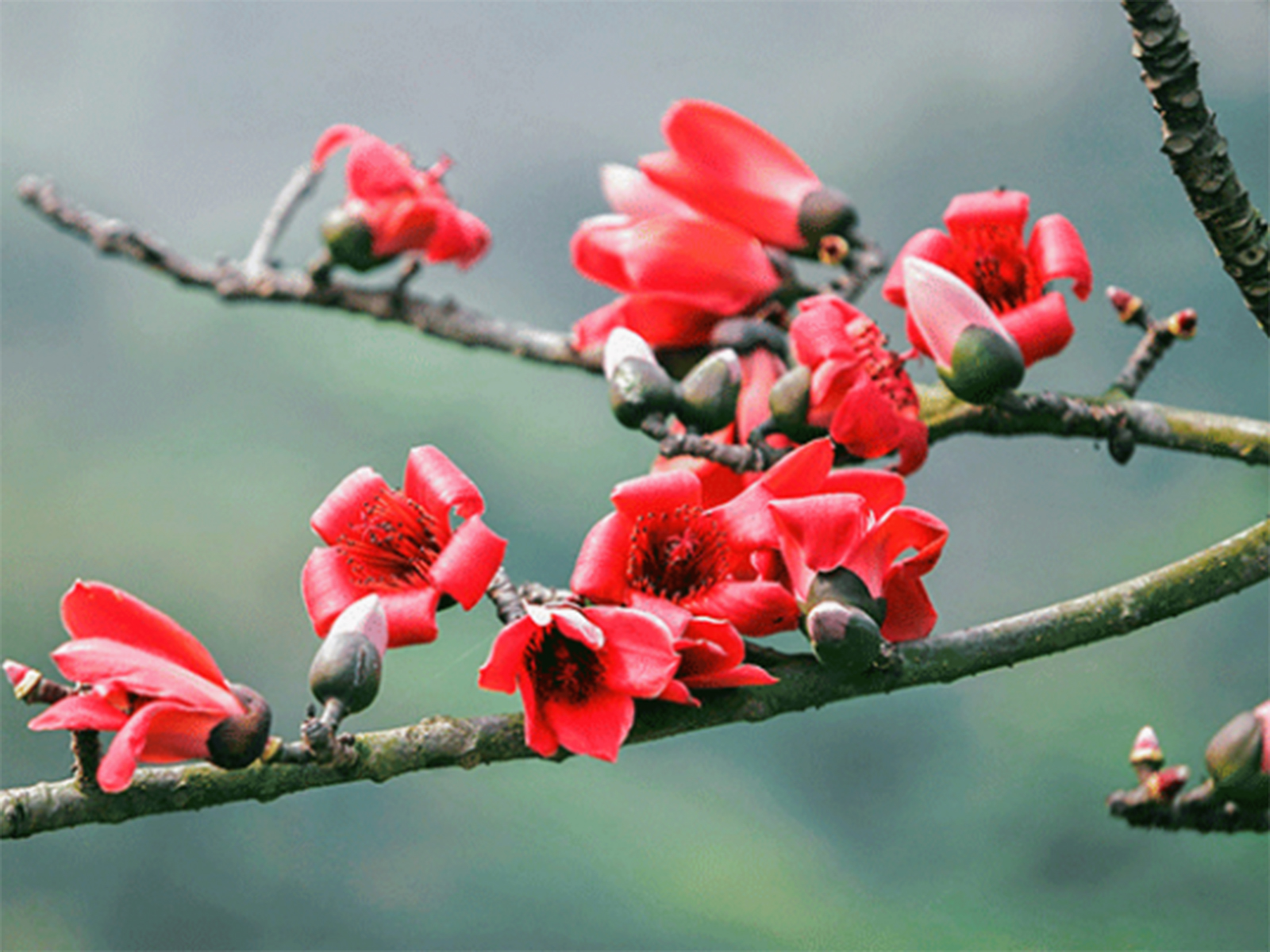 Series Tháng 3 của tôi