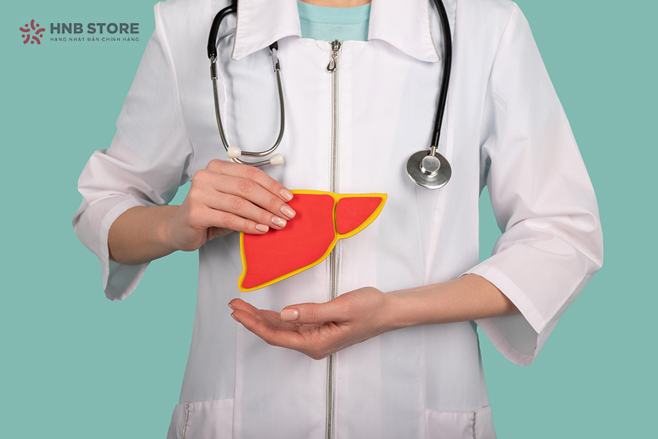 cách bảo vệ gan khỏe mạnh