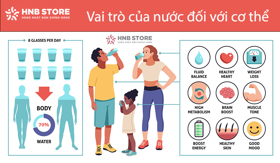 Vai trò của nước đối với cơ thể con người
