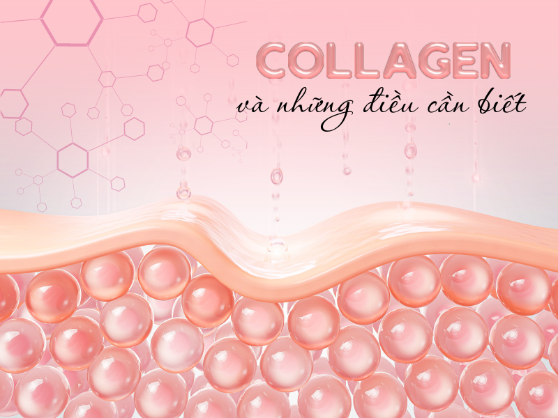 Những điều chị em nên biết để bổ sung collagen hiệu quả