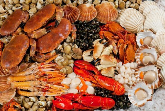 Công thức chế biến hải sản với phô mai không thể bỏ qua