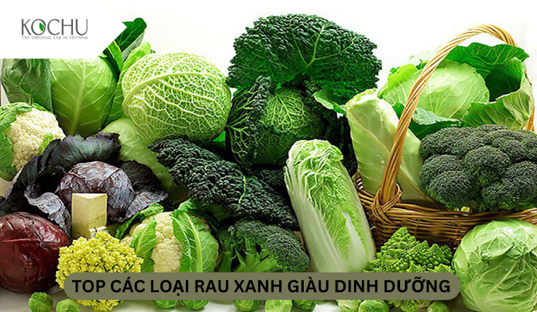 TOP CÁC LOẠI RAU XANH GIÀU DINH DƯỠNG
