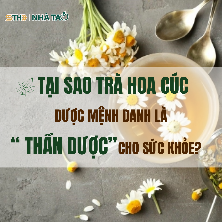 TẠI SAO TRÀ HOA CÚC LẠI ĐƯỢC MỆNH DANH LÀ “ THẦN DƯỢC” CHO SỨC KHỎE? 