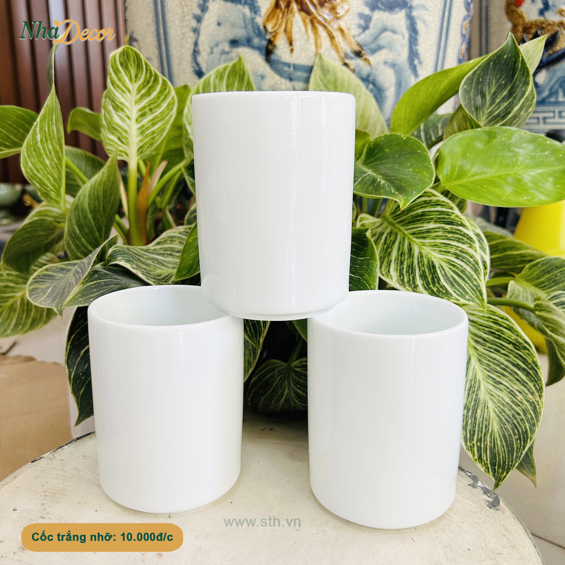 Cốc trắng nhỡ không quai