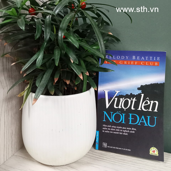 Sách - Vượt lên nỗi đau