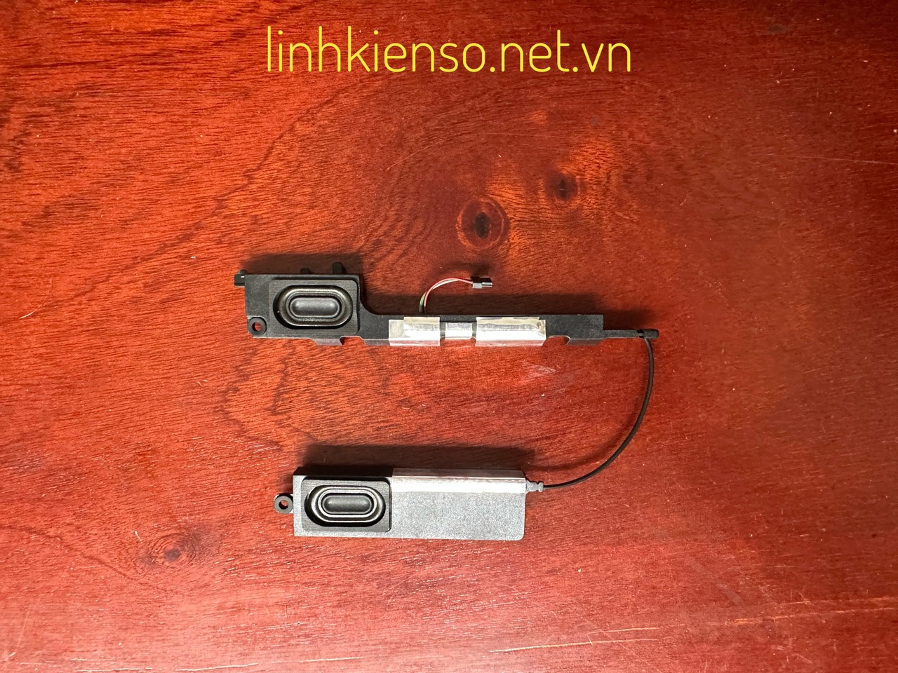 Speaker HP probook 450G6 455G6 450 455 G6 Zhan 66 PRO 15 G2 X8K 3BX8KSTTP20 mới