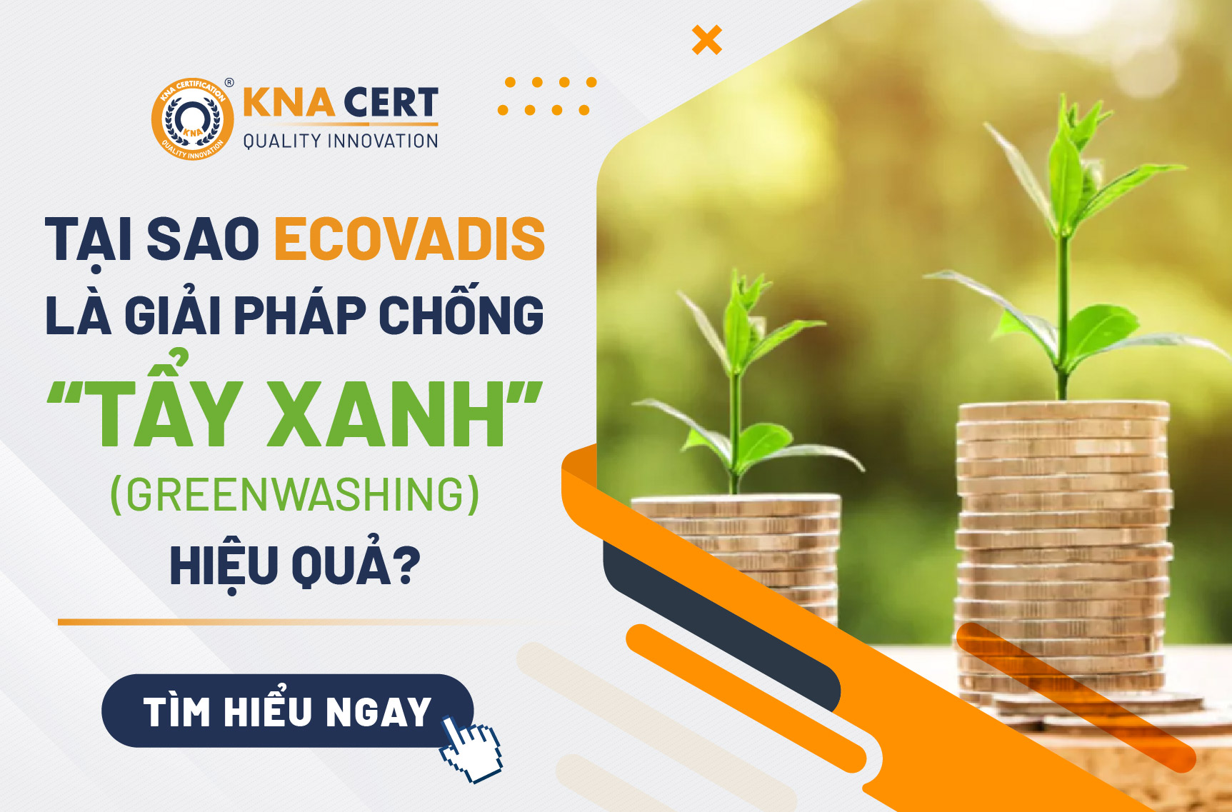 Tại sao EcoVadis là giải pháp chống “Tẩy xanh” (Greenwashing) hiệu quả? 