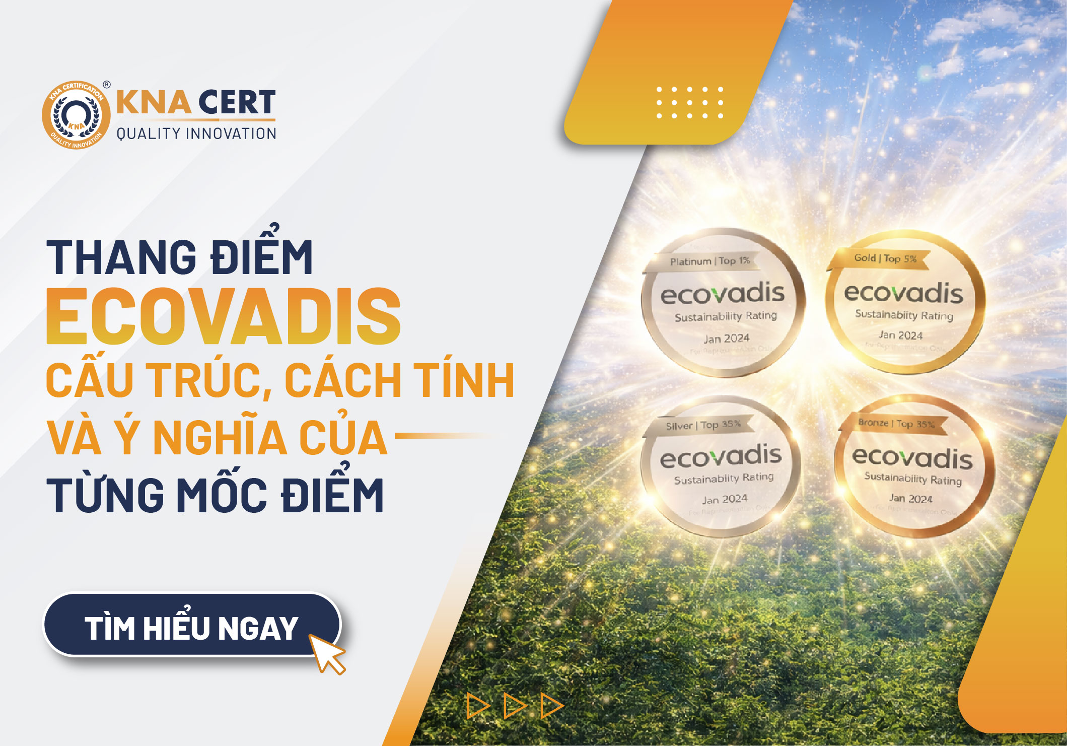 Thang điểm EcoVadis: Cấu trúc, cách tính và ý nghĩa của từng mốc điểm 