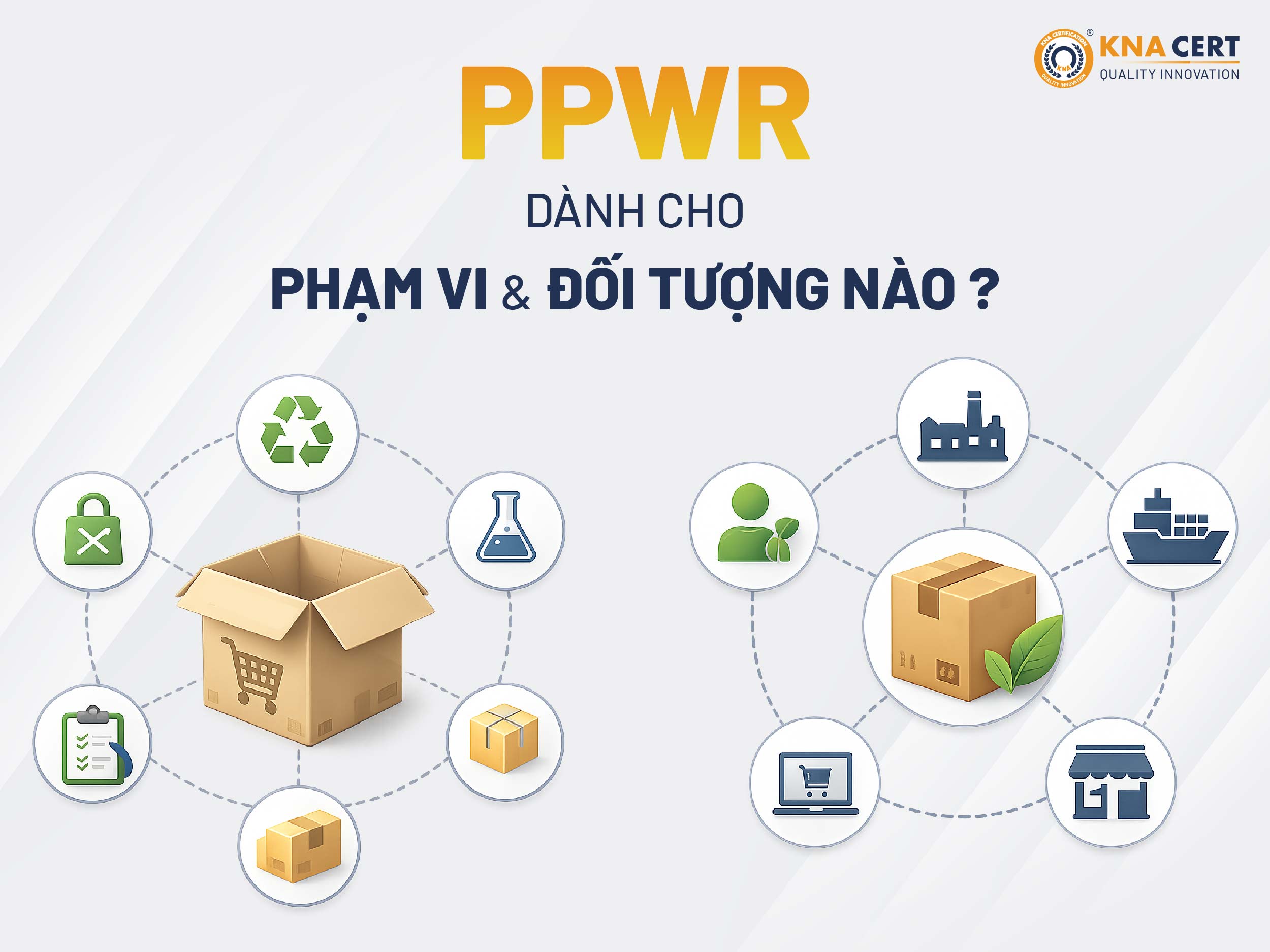 Phạm Vi Và Đối Tượng Áp Dụng Quy Định Bao Bì & Chất Thải Bao Bì (PPWR)