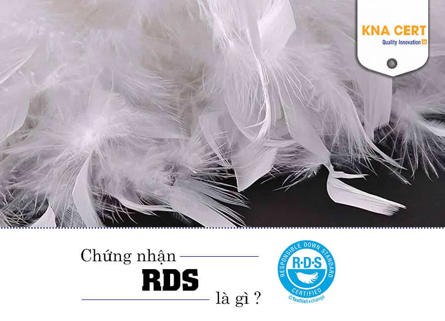 Chứng nhận RDS là gì ?