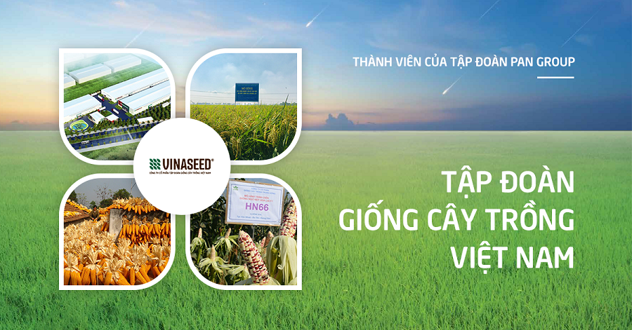 cong-ty-co-phan-tap-doan-giong-cay-trong-viet-nam.png