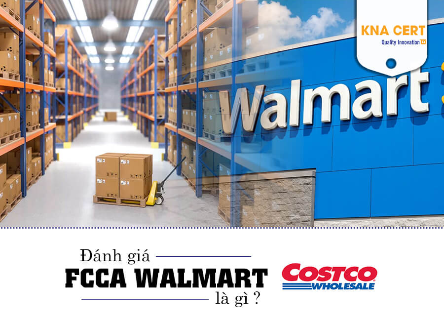 FCCA Audit là gì