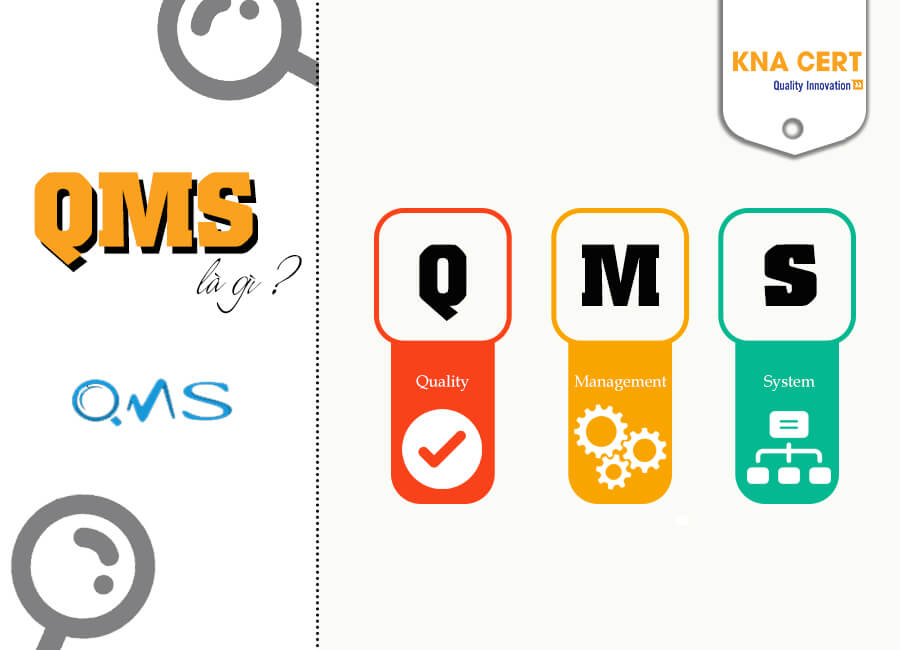 Hệ thống QMS là gì ?